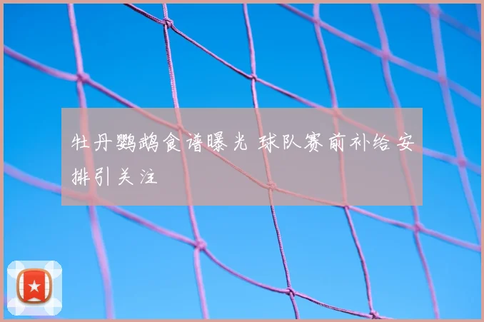 牡丹鹦鹉食谱曝光 球队赛前补给安排引关注