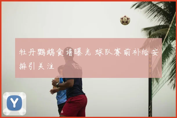 牡丹鹦鹉食谱曝光 球队赛前补给安排引关注