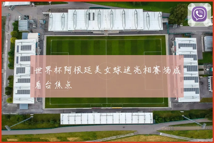世界杯阿根廷美女球迷亮相赛场成看台焦点