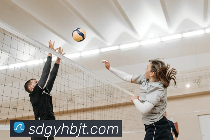 App Interface Preview